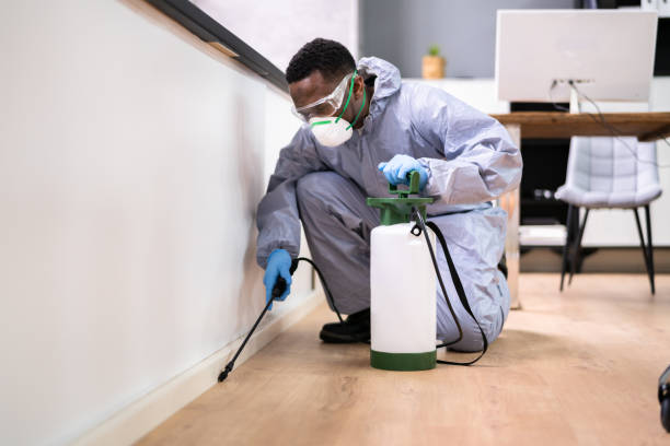 Best Commercial Pest Control  in Kingsland, GA